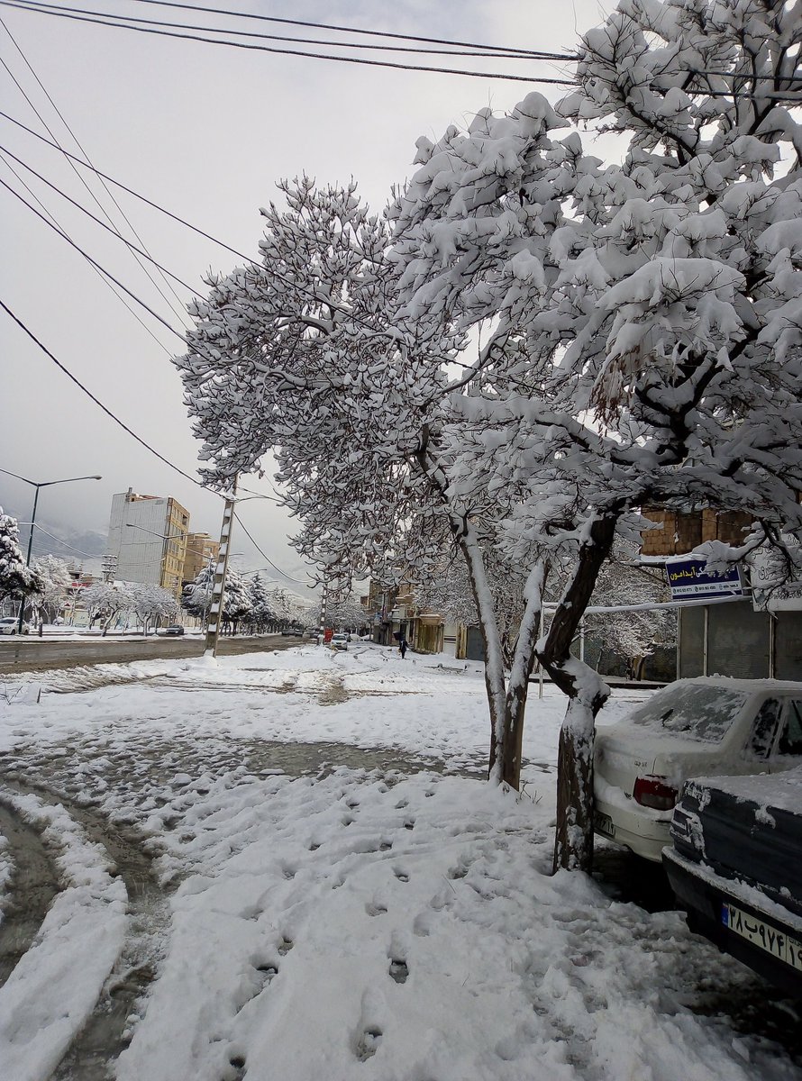 کاش زمستان بیشتر ادامه داشته باشه