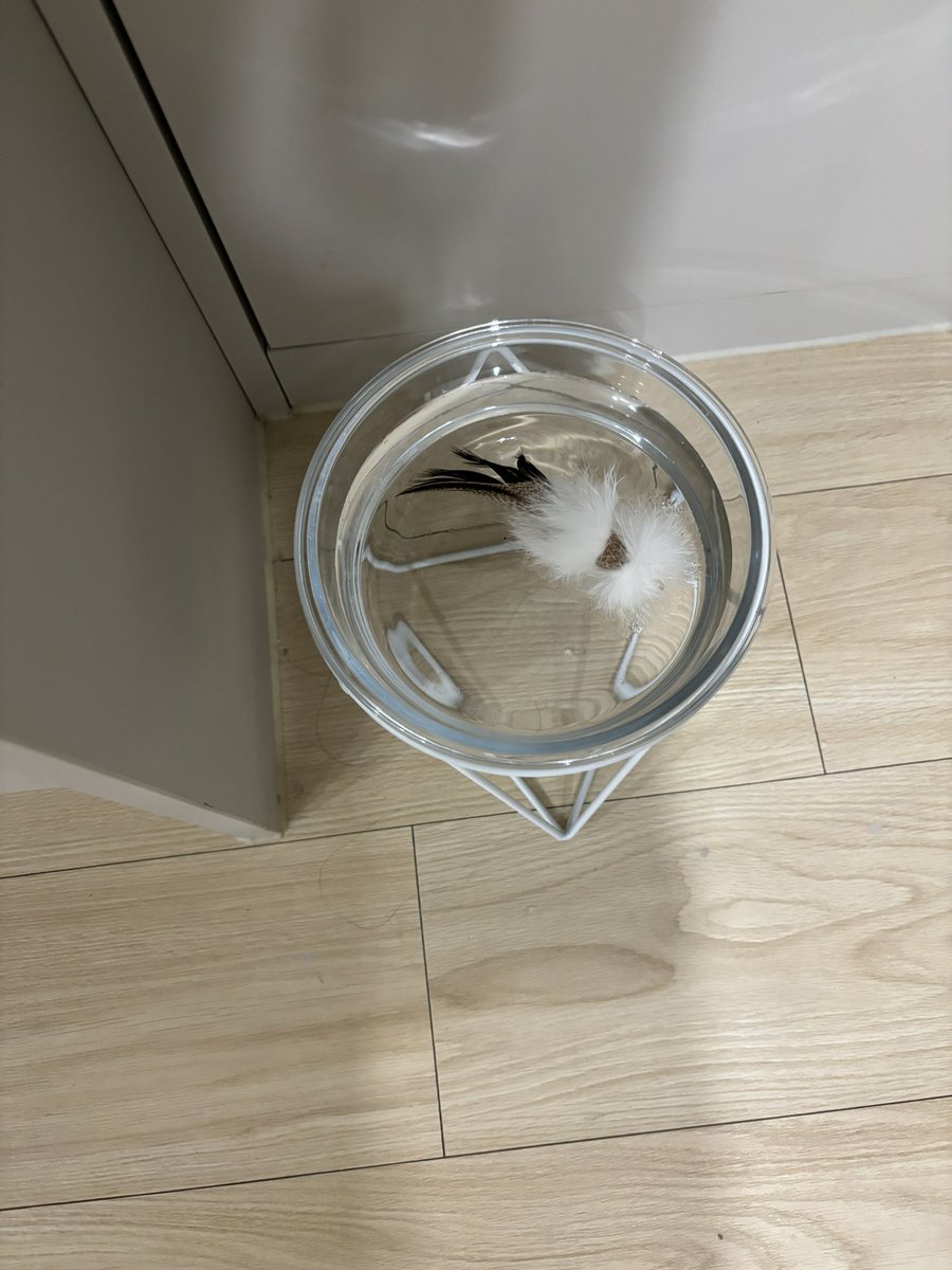 pluto_0h's tweet image. ㅎㅎ;;;;;;;;;;;;우리고양이는 다행이다 지장난감만 넣어서