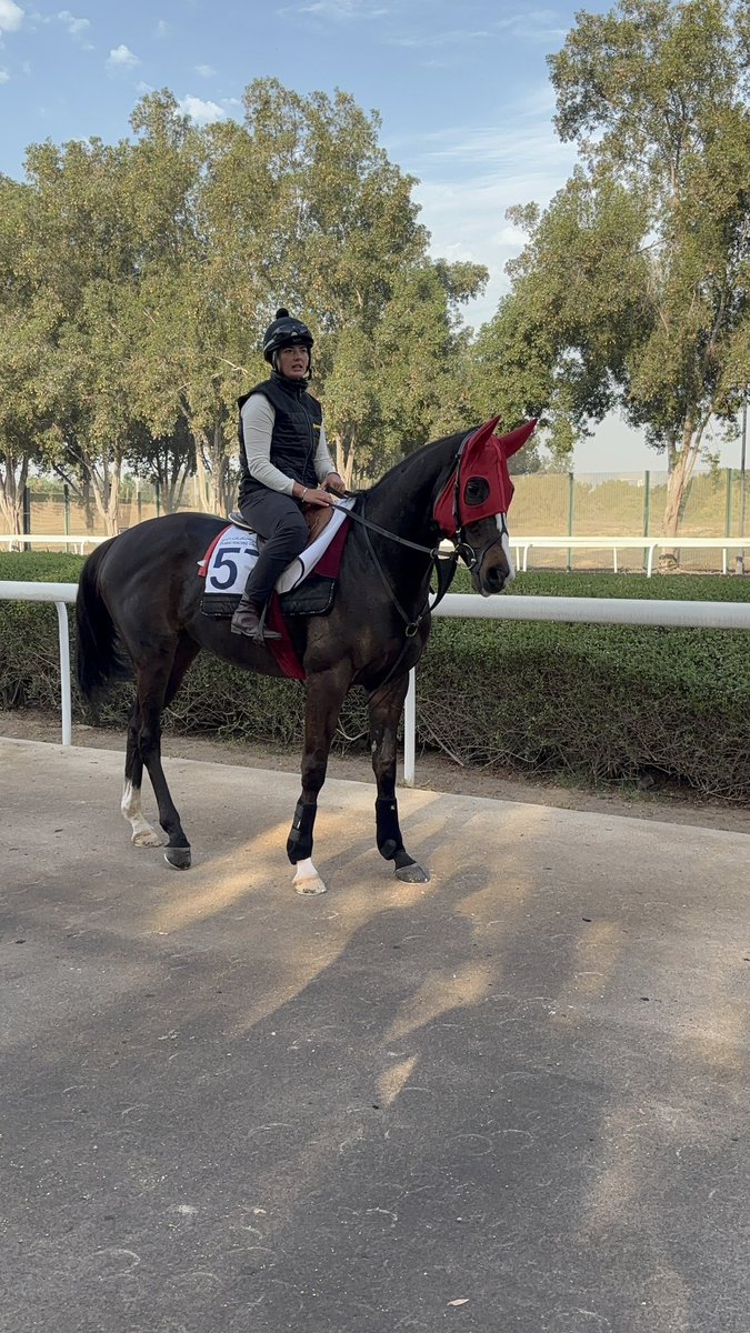 BoyleBloodstock's tweet image. A lovely bit of work this morning around Meydan for ‘Smoothie’ ahead of his race tomorrow night!

@BERacingLtd @RacingDubai