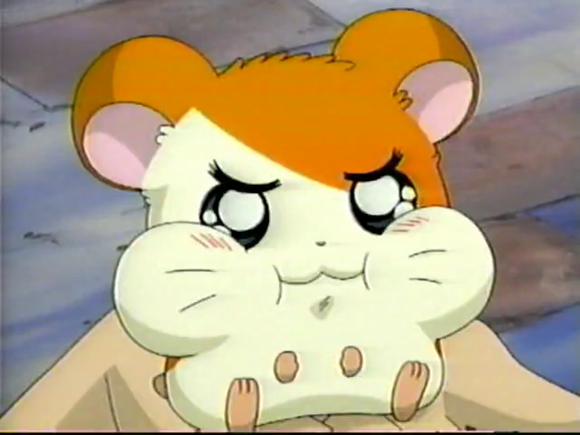 プンプンハム太郎 Upset Hamtaro (episode 59)