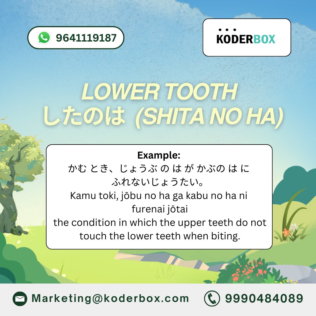 koderbox's tweet photo. Words Related to Tooth (Part 2) in Japanese!    

Ready to expand your Japanese vocabulary?   

#LearnJapanese #JapaneseVocabulary #JLPTPrep #Koderbox #StudyJapanese #SpeakJapanese #JapaneseForDailyLife #LanguageLearning https://t.co/U6SSY97sKo