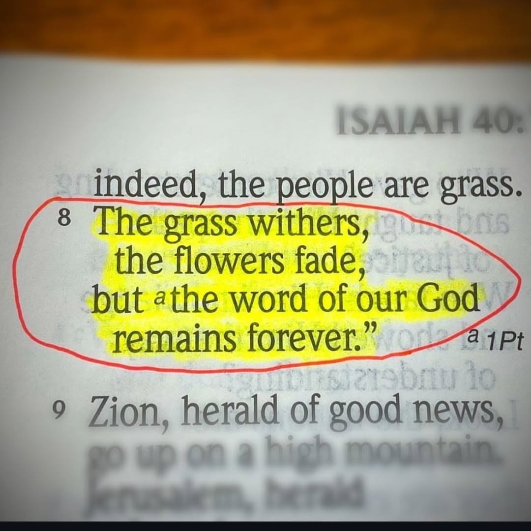 Bible365_'s tweet photo. https://t.co/l9B9CXbSMK