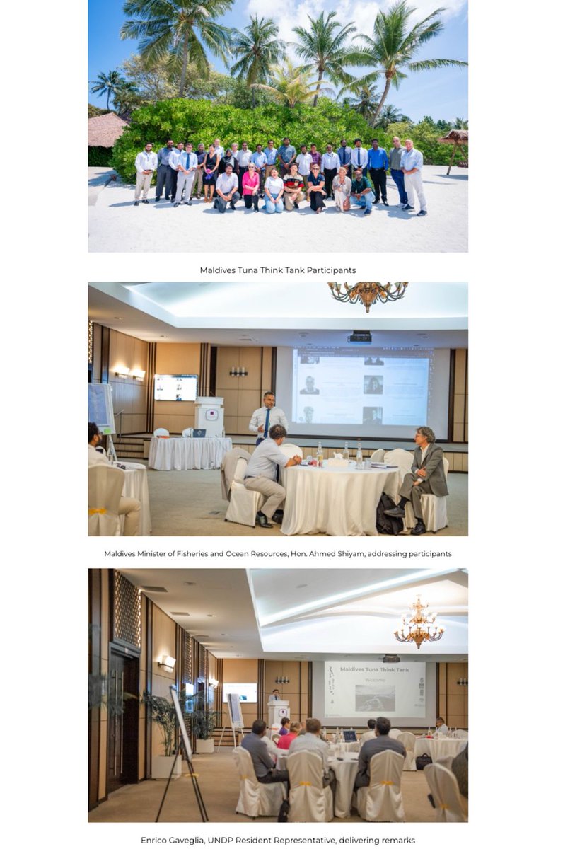 MSPEA-Maldives 🇲🇻 tweet media