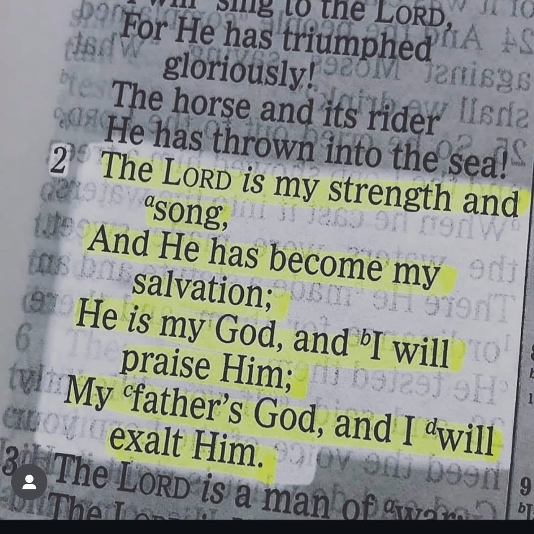 Bible 365 (@bible365_) on Twitter photo 