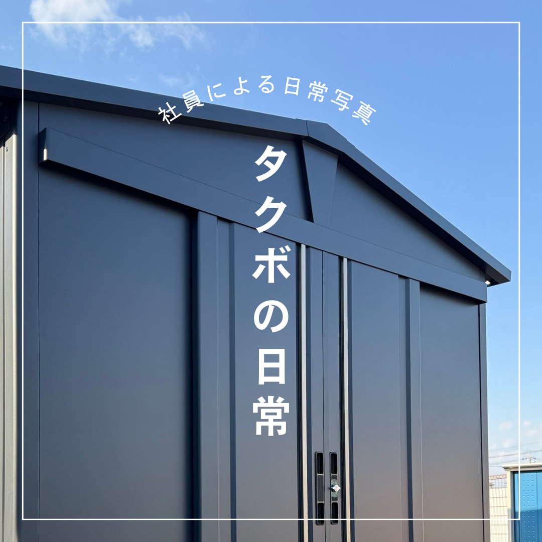 ほぼタグあり　20体売り切りオークションまとめ売り　詳細確認用 nd_img08.jpg