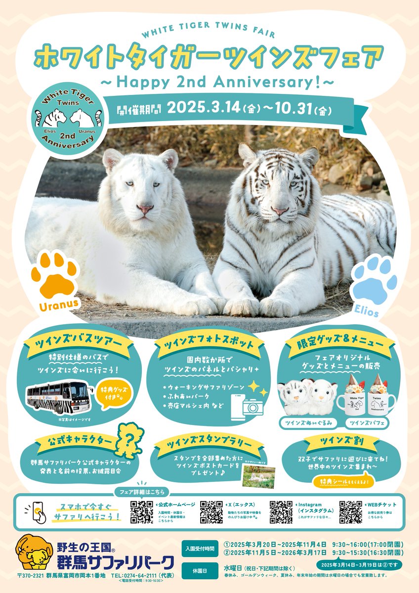 水曜日どうでしょう ぬいぐるみと食器セット, image size:848x1200