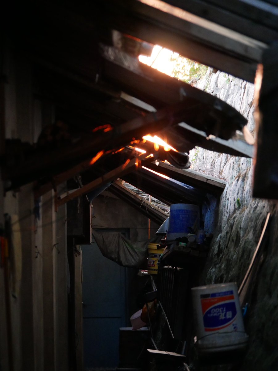 啊？等等？这是我相机里的照片？？