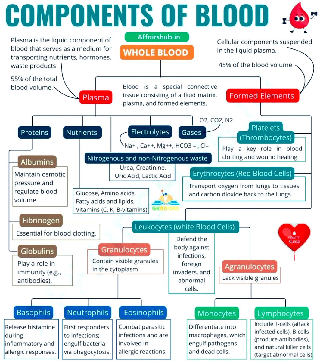 Components Of Blood