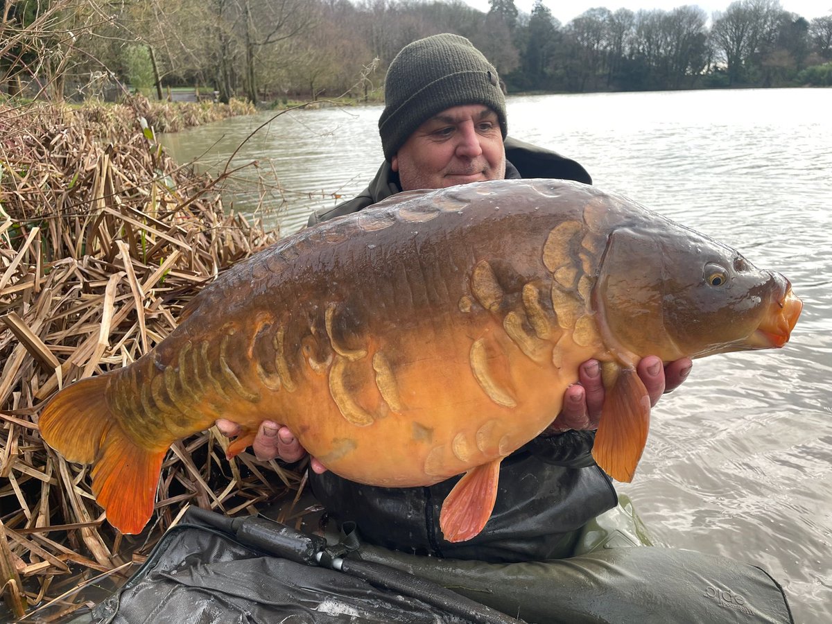 CC Moore & Co Ltd tweet media