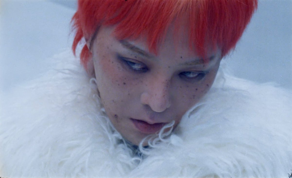 LH VIII VIII tweet media