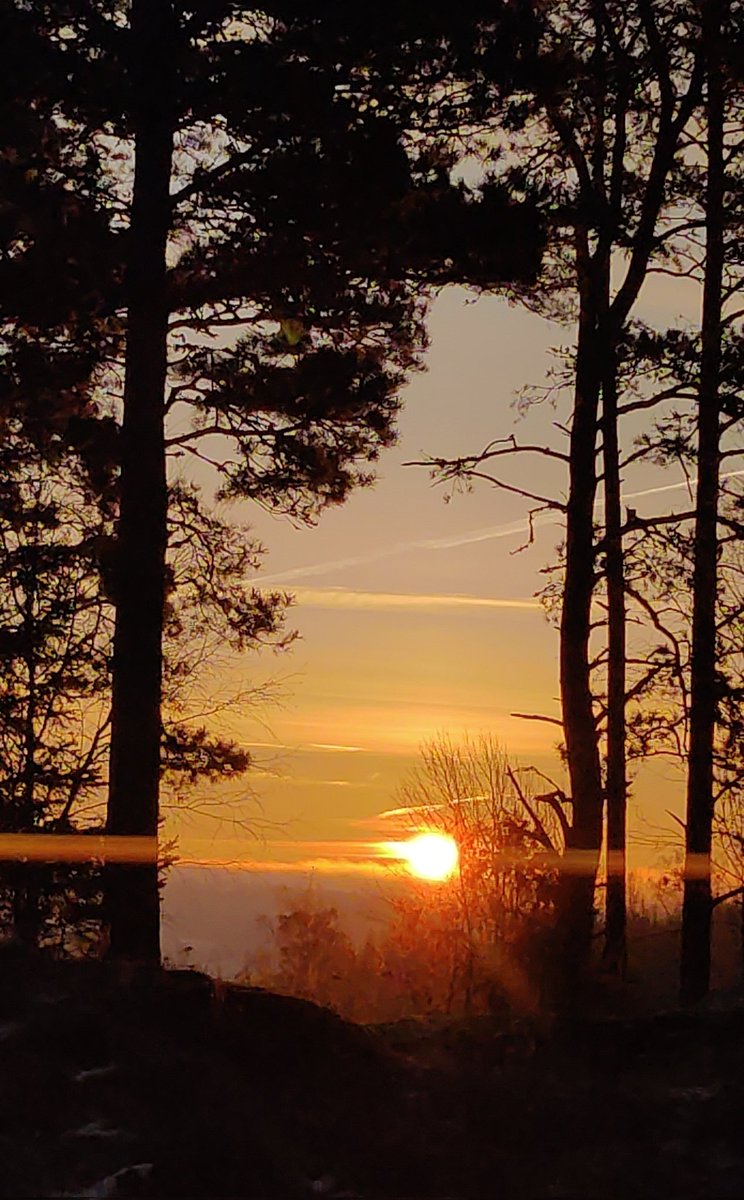 Ønsker dere alle en flott torsdag 🌄👍🥰. Ta vare på hverandre 🥰