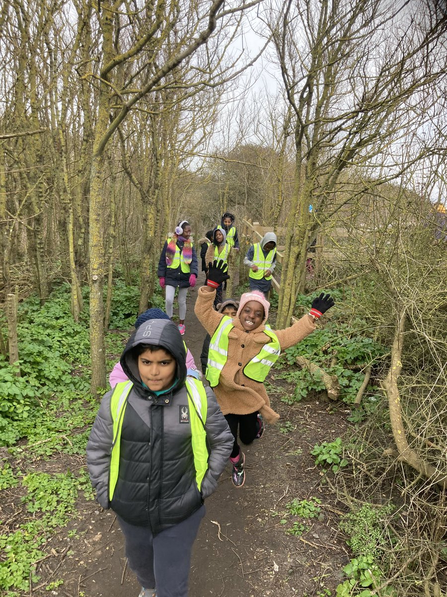 Art Branches tweet media