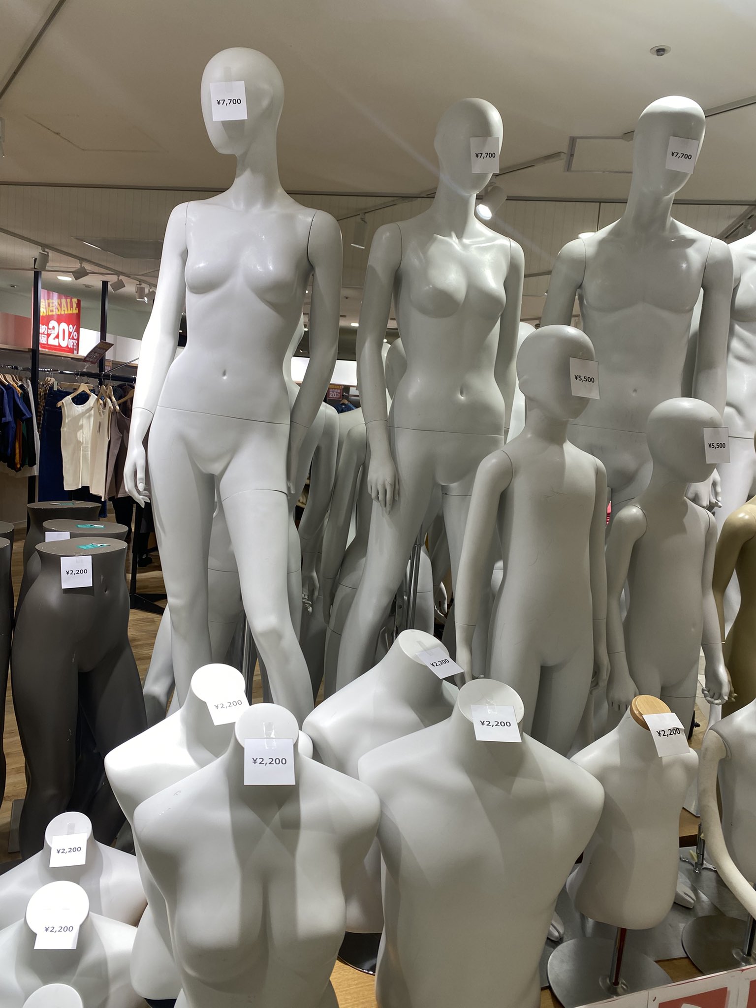 Amazon.co.jp: マネキン ドレスフォーム 太った女性マネキン