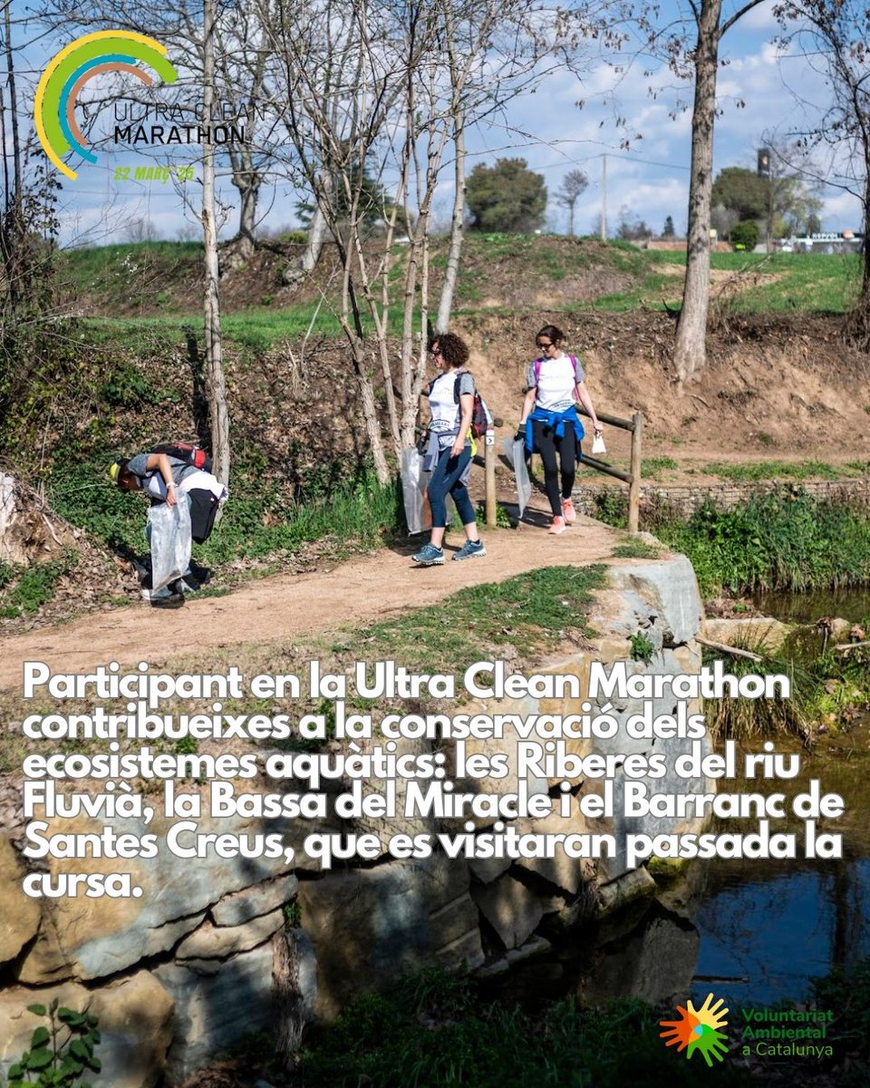 Voluntariat Ambiental tweet media