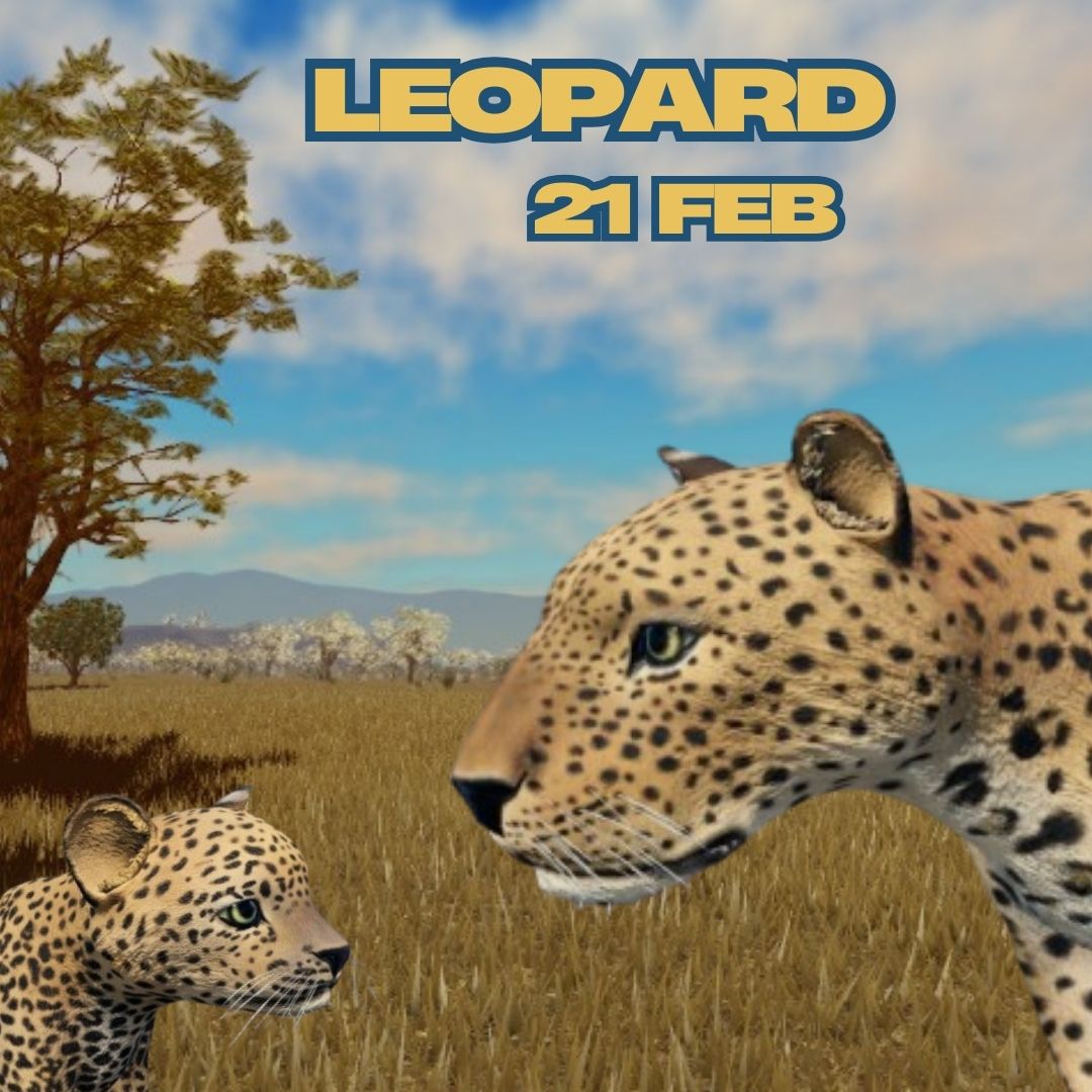 NOYO_Production's tweet image. 🚨 The Countdown is On! 🐆✨
The Leopard officially arrives in Savannah Life TOMORROW, 21 Februari, 7-8 am UTC! 🌍🔥 Are you ready to explore the savannah with this fierce predator?
#SavannahLife #Roblox #NOYOProductions #WildlifeGaming #NewUpdate #RobloxAnimals