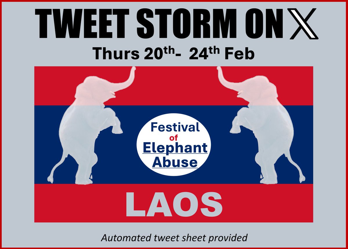 City's🐘 for Elephants & Rhinos🚩 tweet media