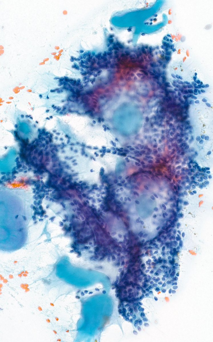 Charlie Herndon tweet media