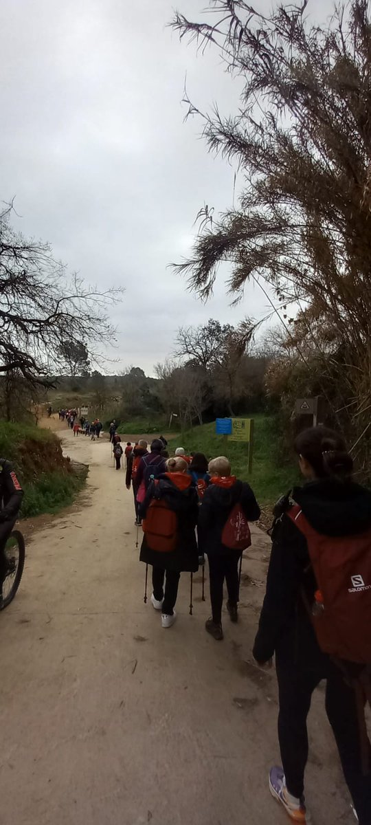 Segona sortida del programa #LHospitalet Camina!

🚶Malgrat que no ha lluït gaire el sol, el grup de participants ha gaudit molt en la ruta que han realitzat de 8,37km pel Parc de Collserola.
#EsportsLH