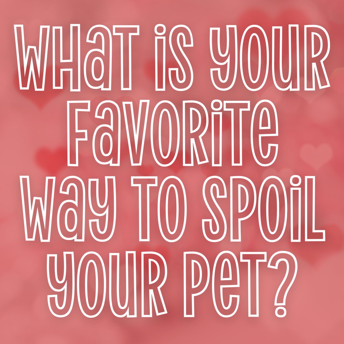 chevonspassion's tweet photo. Happy National Love Your Pet Day! 🐾🥰

What is your favorite way to spoil your pet? 🩷 https://t.co/fj8s3xE3IZ