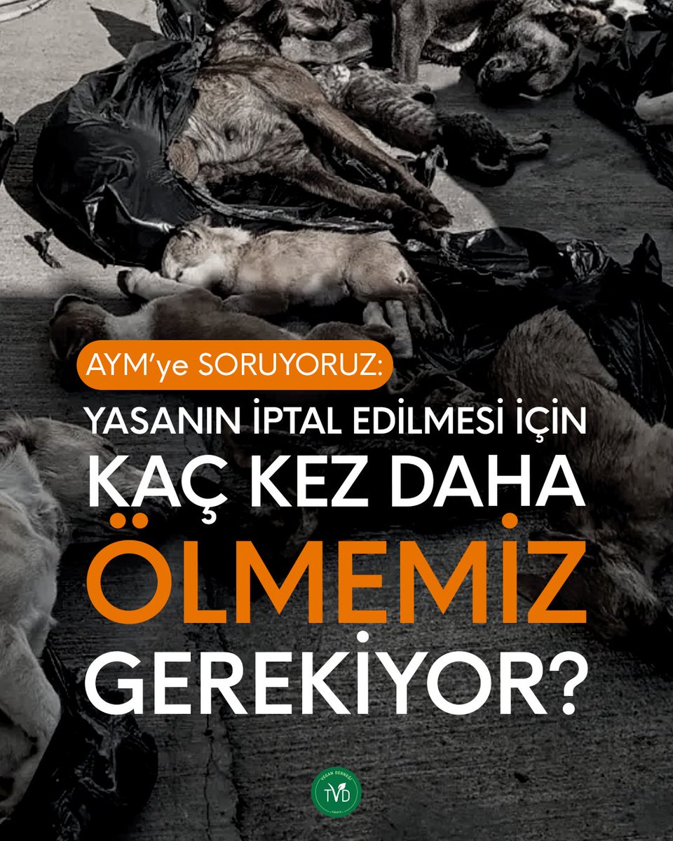 TvdOrgTr's tweet photo. 📌 Son bir yıl içinde Osmaniye, Konya, Mamak, Erzincan, Altındağ, Ümraniye ve Gebze’de yüzlerce hayvan katledildi.

AYM’ye SORUYORUZ:

YASANIN İPTAL EDİLMESİ İÇİN KAÇ KEZ DAHA ÖLMEMİZ GEREKİYOR?

#aymyasayıi̇ptalet #AYMYasayıGeriÇek #katliamyasası #sokakhayvanlarısahipsizdeğil https://t.co/mm7BA1JZv3