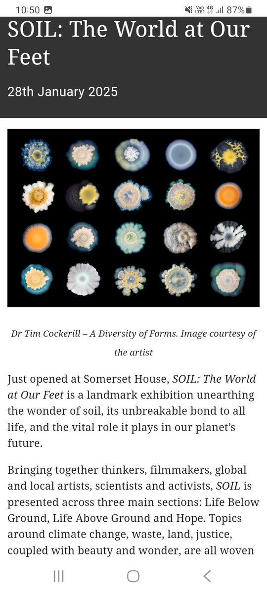 Mary Blue tweet media