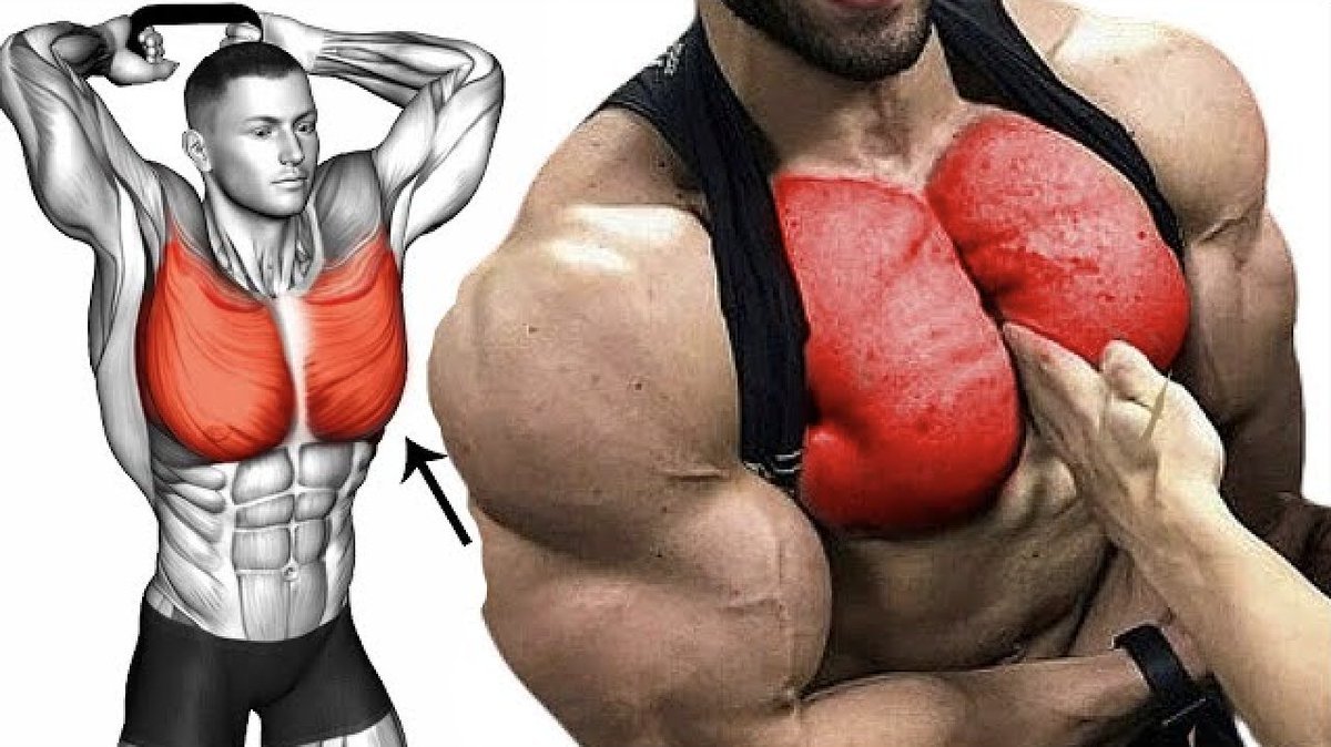 5 EXERCISES TO HAVE A HUGE CHEST IN JUST 60 DAYS 💪

-Thread-