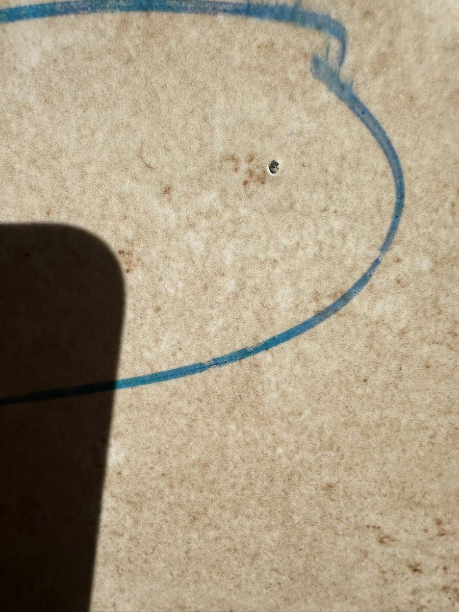 Omar Negm tweet media