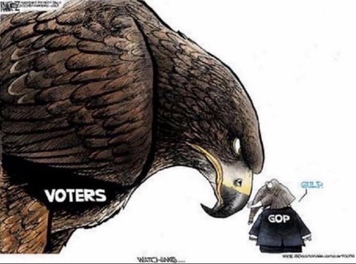 Dear Republican Senators.  We are watching how you VOTE today on President Trump’s nominee, Kash Patel.