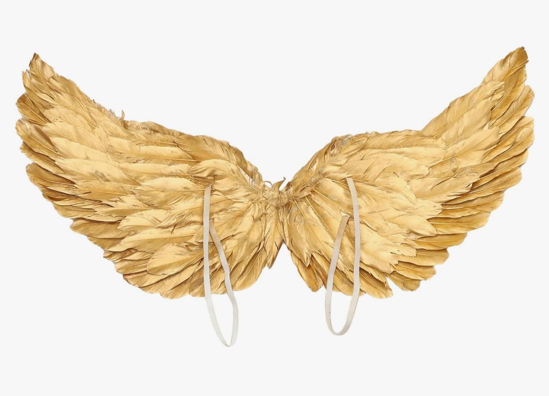 𝔾𝕒𝕓𝕣𝕚𝕖𝕝 tweet media