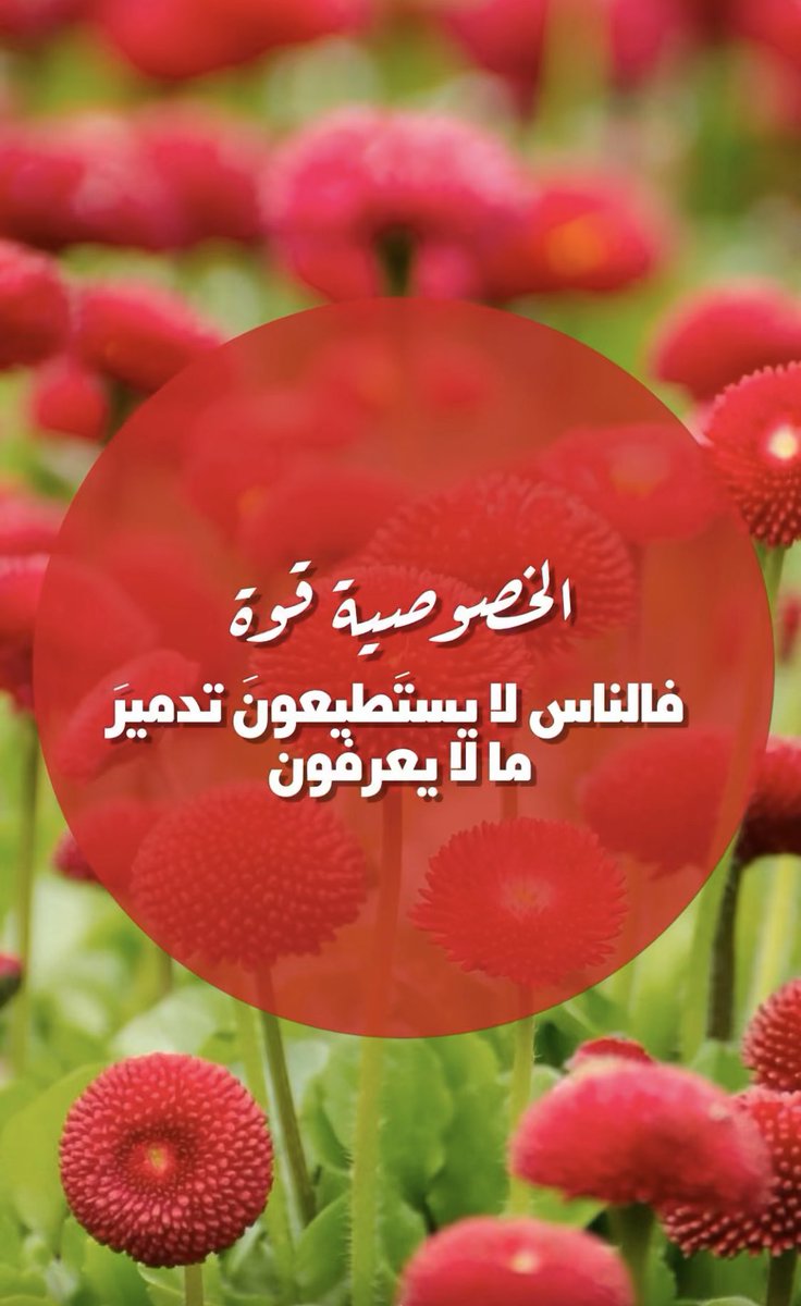 🇰🇼يا وطن لك من يحبك🇰🇼 tweet media