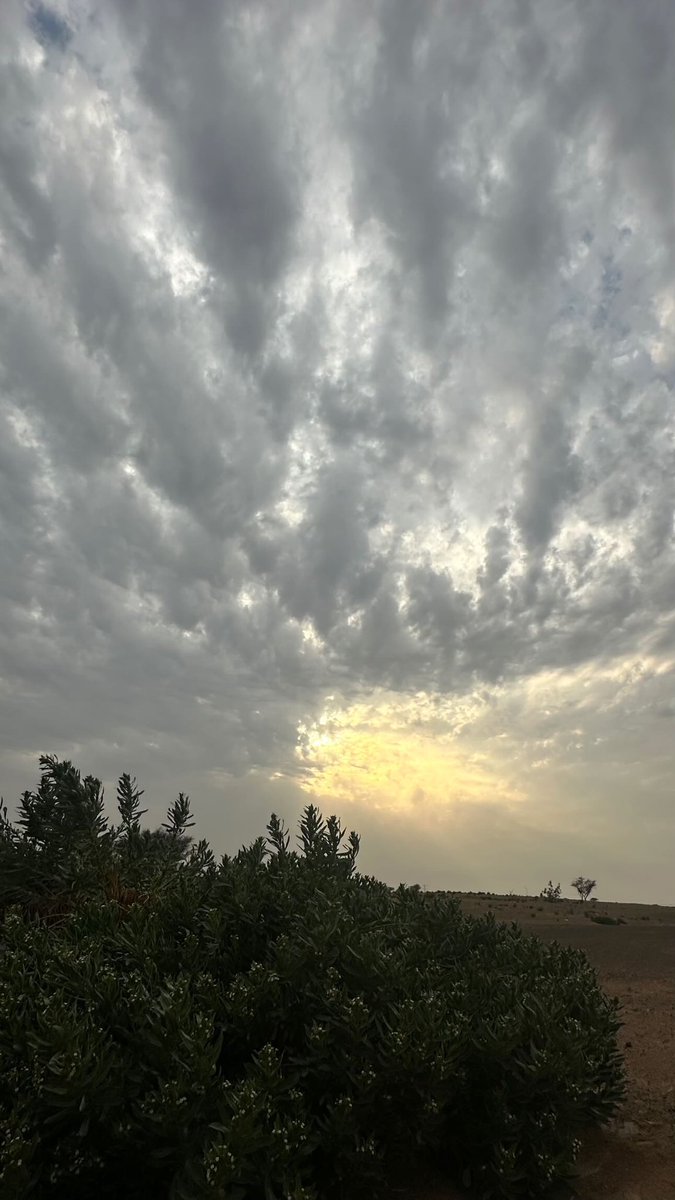 الجو غيم و ساقني يَمَّك حنينيِّ♥️🕊️