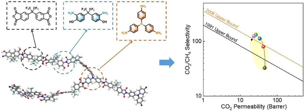 Editor's Choice Article for the January issue from the group of Prof. Jingtao Liu at USTC (China).

Finely Tailoring Microstructure of Hyperbranched Polyimide Membrane for Facile Natural Gas Upgrading.

This paper presents polyimide membranes with a hyperbranched network using