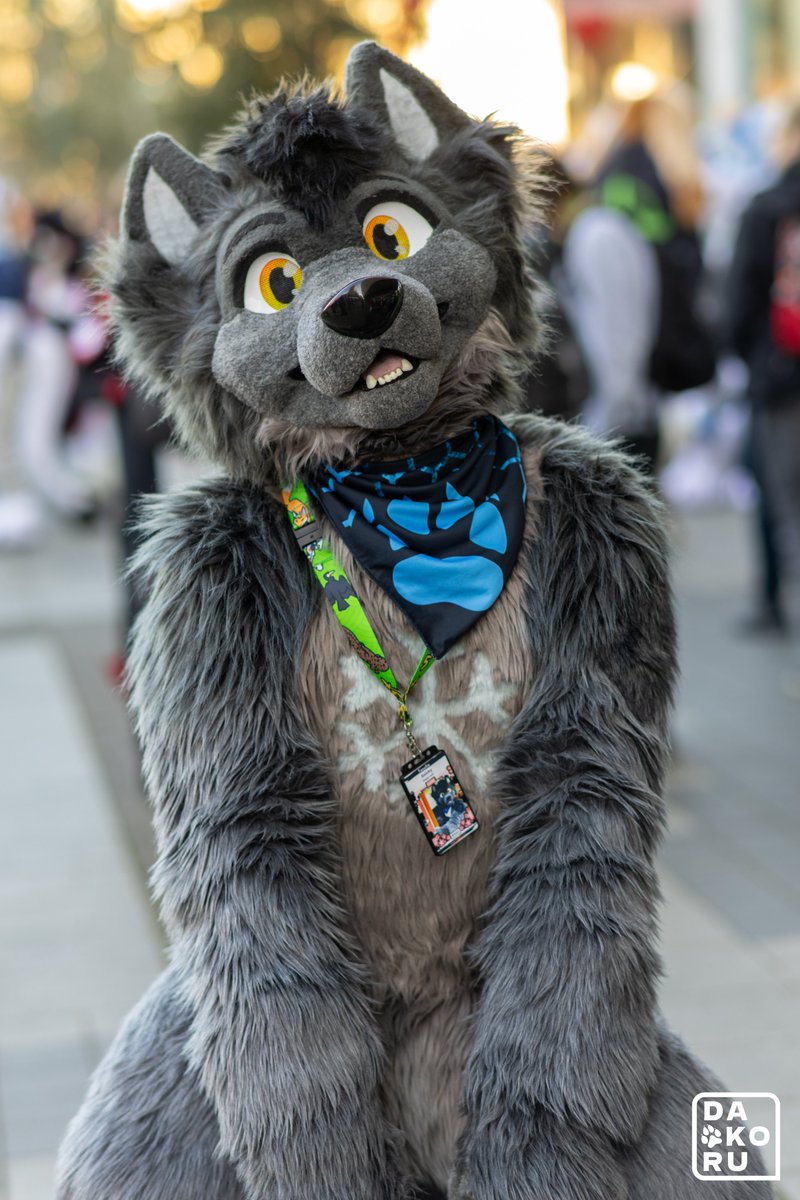 SzΓΌrky Farkas @NFC (@szurkywolf) on Twitter photo It is very important to bring the βgood boy attitudeβ to the con π
πΈ <a href="/Furball_Dakoru/">πΊπΎ Dakoru πΎπΊ</a>
#Furrycon #NFC2025 #NFC It is very important to bring the βgood boy attitudeβ to the con π
πΈ <a href="/Furball_Dakoru/">πΊπΎ Dakoru πΎπΊ</a>
#Furrycon #NFC2025 #NFC
