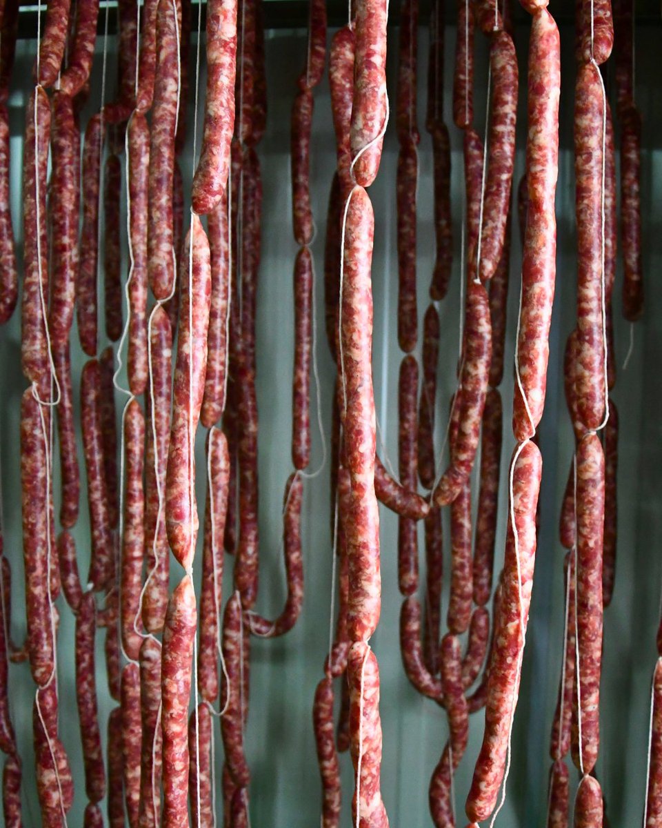 💭 Si hi ha una època de l’any en què entrar a l'assecador et teletransporta automàticament a quan fèiem la matança a pagès, amb aquella olor de rebost que et posa la pell de gallina... és justament ara! #dpagès

🖥️ dpages.cat