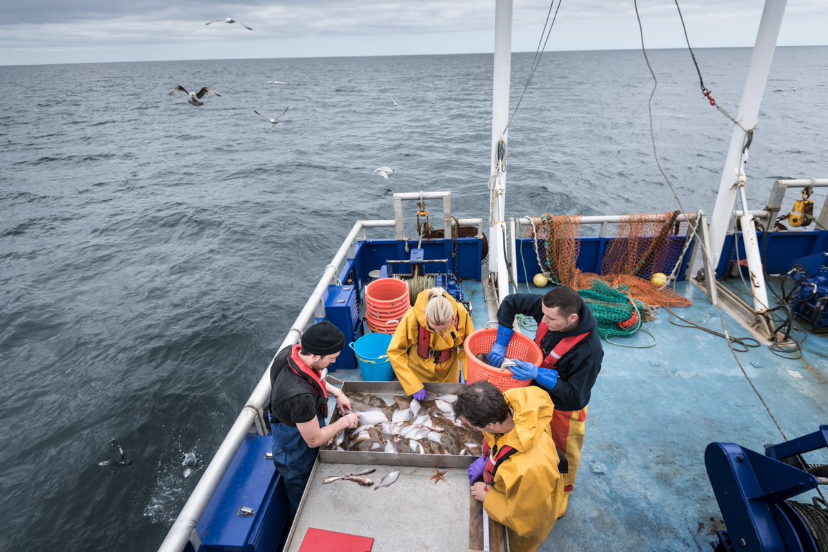 fisheriesappg's tweet image. Hosted by @DefraGovUK and focused on #collaboration, an interactive hybrid event on 18 March will share updates and insights from different projects currently working to address evidence gaps relating to the UK’s #Fisheries Management Plans (#FMPs). loom.ly/WIRDe-I