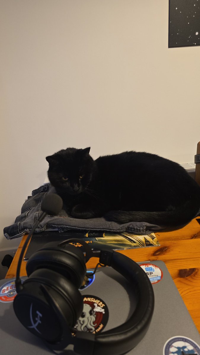 HangmanSec's tweet photo. @Lylli on his favourite pair of jeans....that have waiting to be repaired for 4 months 😅 https://t.co/UATTzMQHhX
