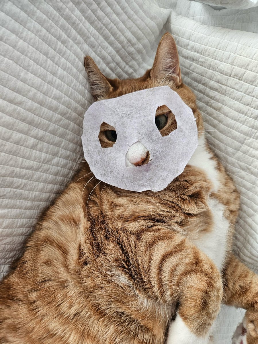 순이 리노 너무똑같아ㅋㅋㅋㅋ