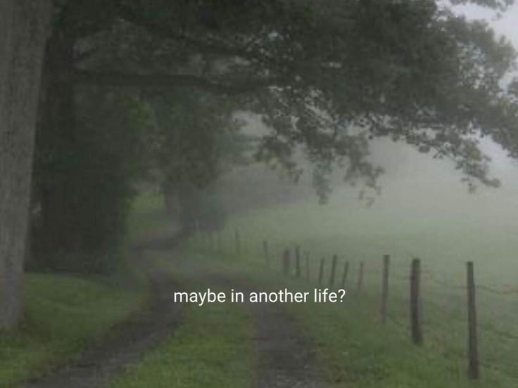 maybe..