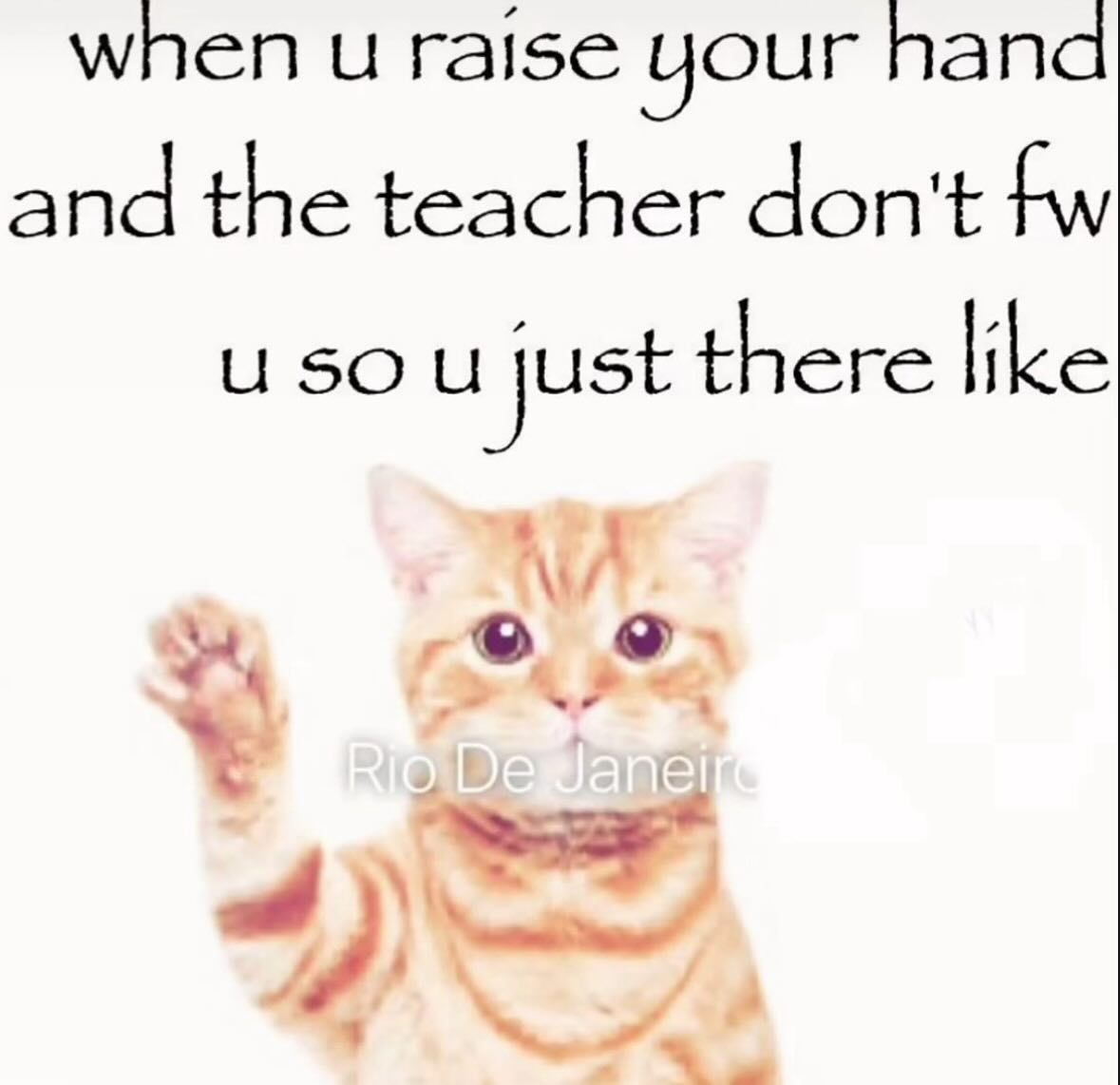 hourly_shitpost's tweet image. 