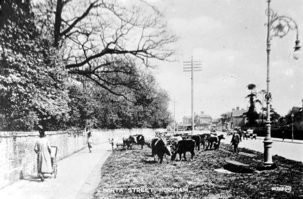 Horsham Museum tweet media