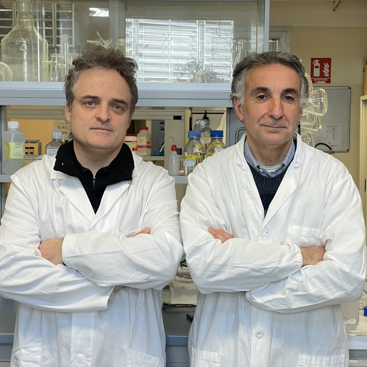 🔎Il palladio contro i #tumori ovarici: i prof. Flavio Rizzolio e Fabiano Visentin studiano da anni composti di palladio per combattere le cellule tumorali. Recentemente hanno ceduto 2 #brevetti per una nuova generazione di agenti antitumorali.

🌐La news: bit.ly/CF_PalladioVsT…