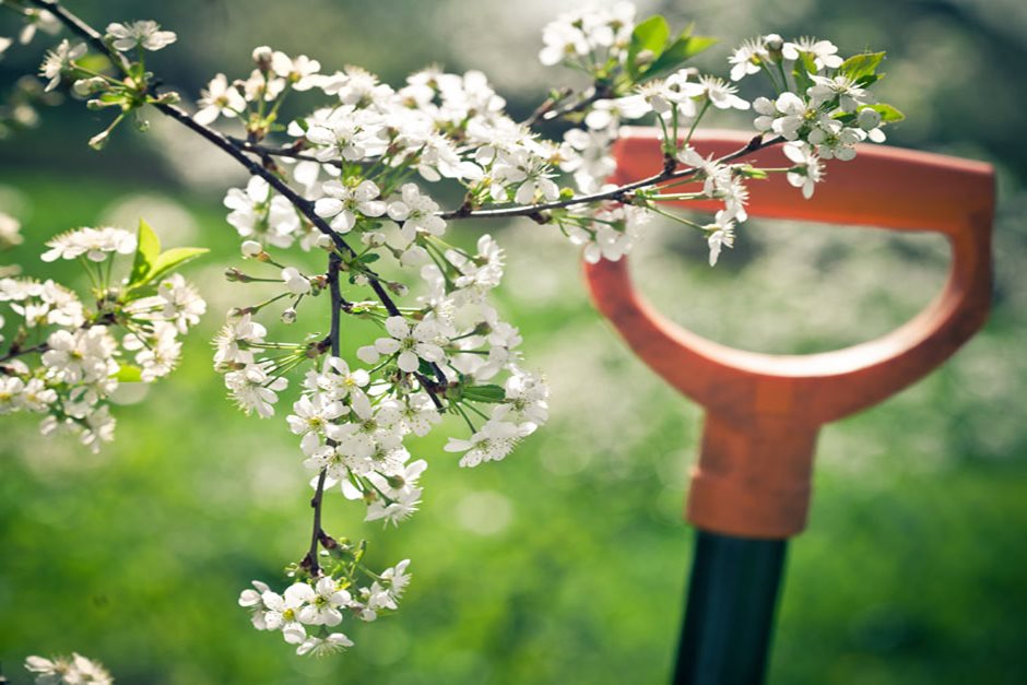 alling all gardening enthusiasts! Join us for the first 'What Now' series titled 'A Year in Your Garden - Early Spring' on Sat 1 March. Dive into topics like soil preparation, dividing, replanting, and so much more.  Click here to secure your spot 👉 rhs.org.uk/gardens/hyde-h…🌱🌸