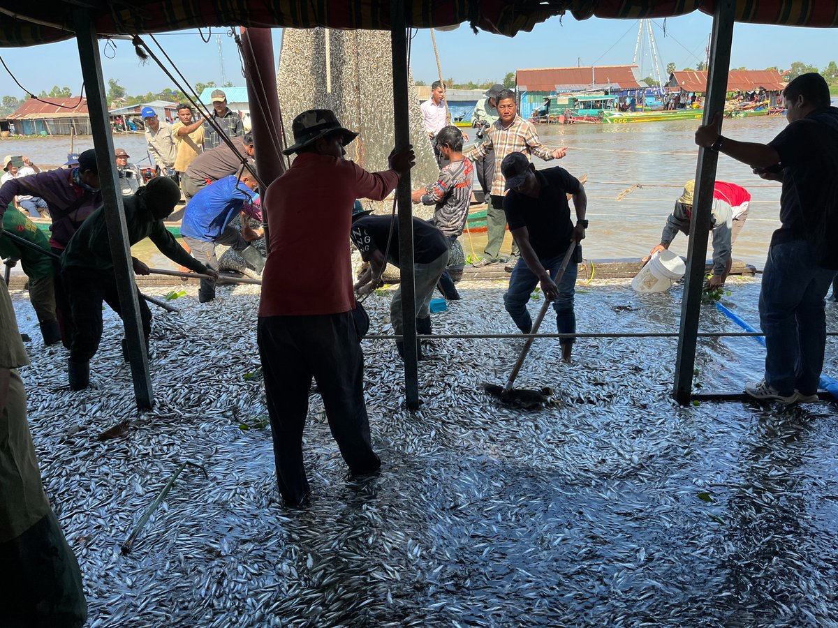 GREAT JOB OPPORTUNITY: We are looking for a world leader in Inland Fisheries (P5 level) for our <a href="/FAOfish/">Fisheries & Aquaculture</a> HQ in Rome. Starts with a 2-yr contract but it is a long-termed-funded position. APPLY APPLY and CIRCULATE. Applications close March 7 
--&gt;shorturl.at/ziv6H