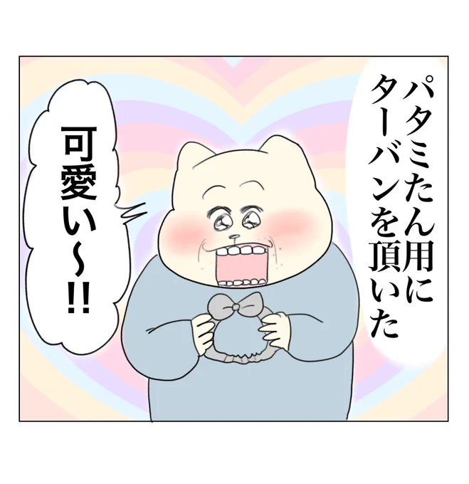 神輿系女児 