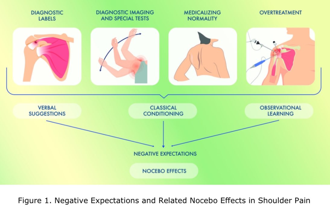 🎯 Negative expectations and related nocebo effects in shoulder pain: a perspective for clinicians and researchers

👏🏻 <a href="/quilluch/">quique lluch girbés</a> <a href="/LiriosDuenas/">Lirios Dueñas</a> <a href="/EleonoraCamero8/">Eleonora Maria Camerone, PhD</a> @filipstruyf

🔓Open Access (first 50 copies) tandfonline.com/eprint/EFCDN7D…

#nocebo #pain #shoulder #expectation