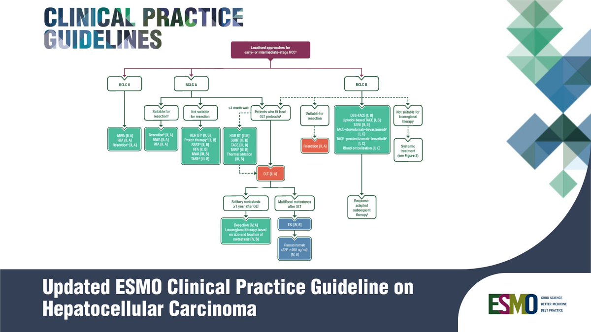 📣 Updated ESMO #ClinicalPracticeGuideline on #HepatocellularCarcinoma includes new treatment strategies in early- and intermediate-stage disease and evolving options for systemic therapy. #HCC #GastrointestinalCancers #ESMOGuidelines

🔗 ow.ly/hrhH50V2GiU