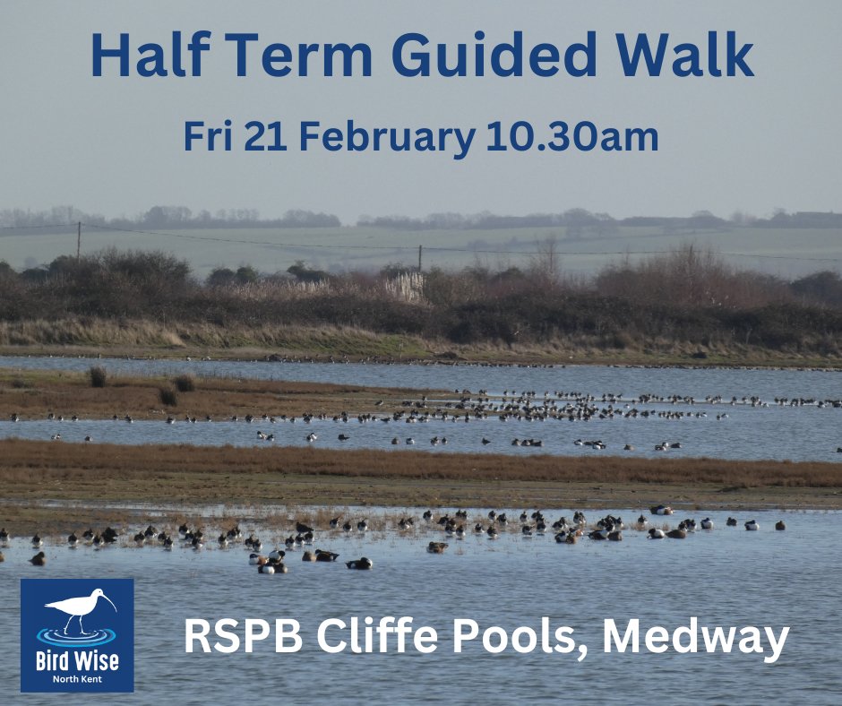 Last few spaces available on our walk at Cliffe Pools tomorrow 🦢🦆🦉🐦‍⬛🥾🐾
Book your free place here 👉eventbrite.co.uk/e/half-term-gu…