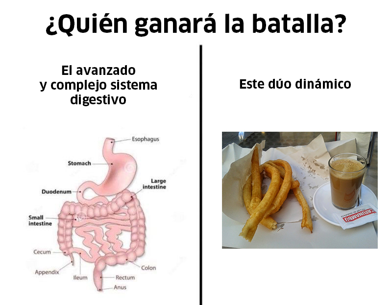 adirecto's tweet image. 