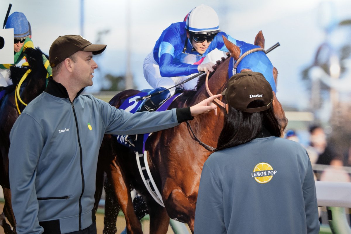 競馬　レモンポップ　ブルゾン　ゴドルフィン レモンポップ ブルゾン ゴドルフィン 競馬
