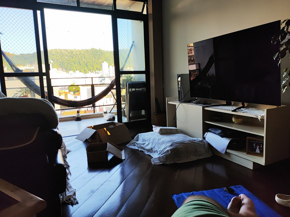 O começo da manhã tem uma energia diferente no interior!  😊

PS: Quem tem gato vai entender as caixas kkkk 😸